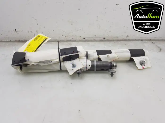 Airbag hemel links Tesla Model X