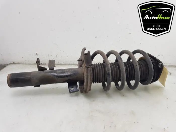 Schokdemper links-voor Ford Transit Connect