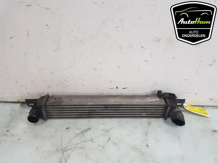 Intercooler Citroen Nemo