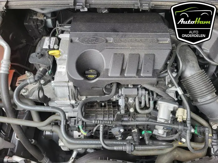Motor Ford Puma