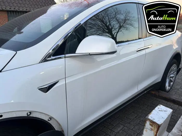 Portier 4Deurs links-voor Tesla Model X