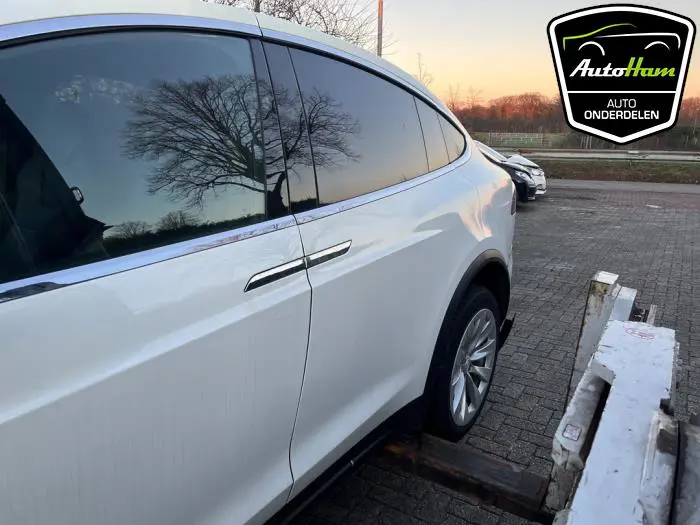 Portier 4Deurs links-achter Tesla Model X