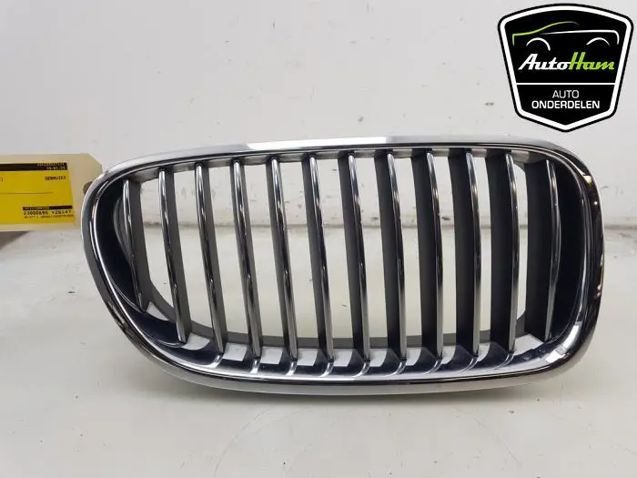 Grille BMW 5-Serie