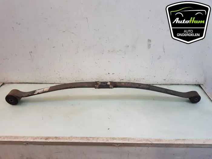 Bladveer achter Ford Transit