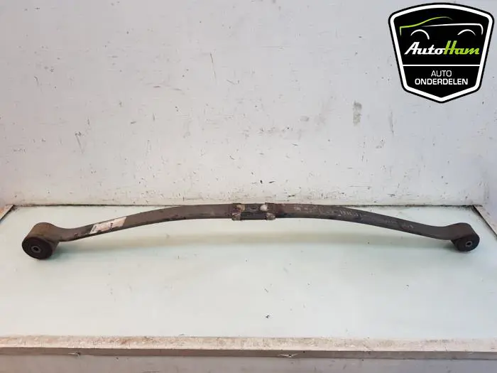Bladveer achter Ford Transit