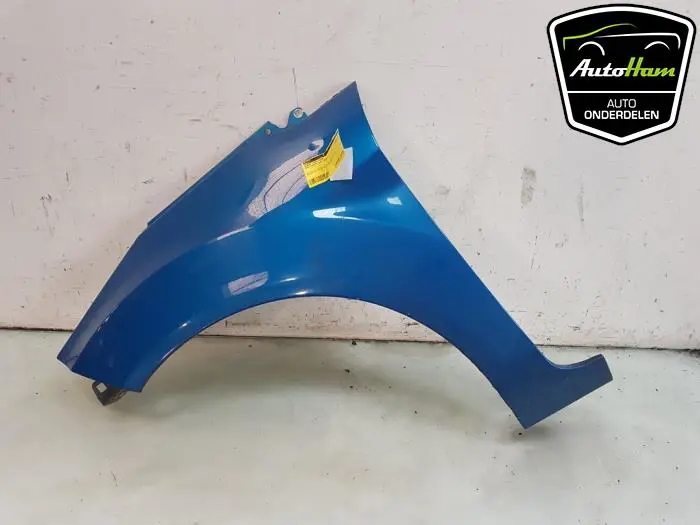 Scherm links-voor Ford Fiesta