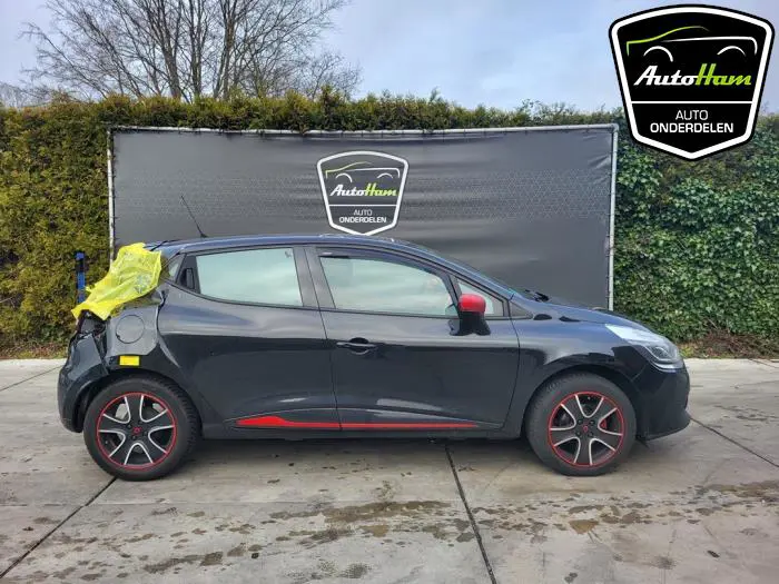 Portier 4Deurs rechts-achter Renault Clio