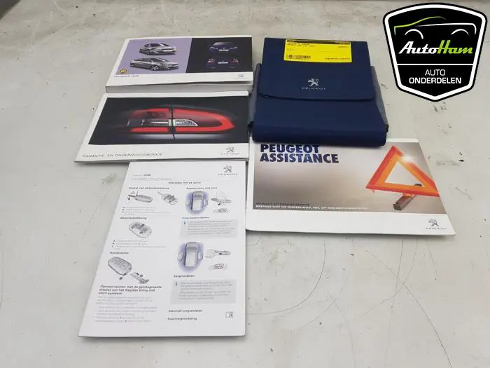 Instructie Boekje Peugeot 308