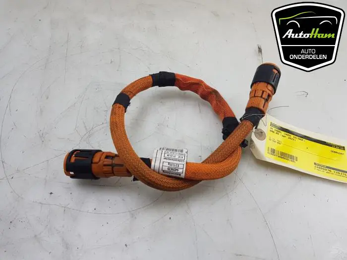 HV kabel (hoog voltage) BMW X5