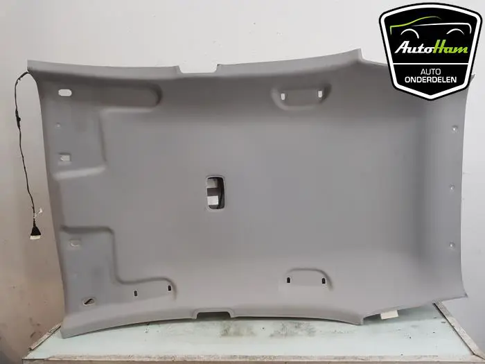 Hemelbekleding Kia Rio
