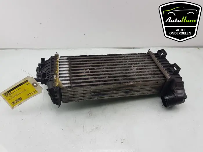 Intercooler Ford Transit Connect