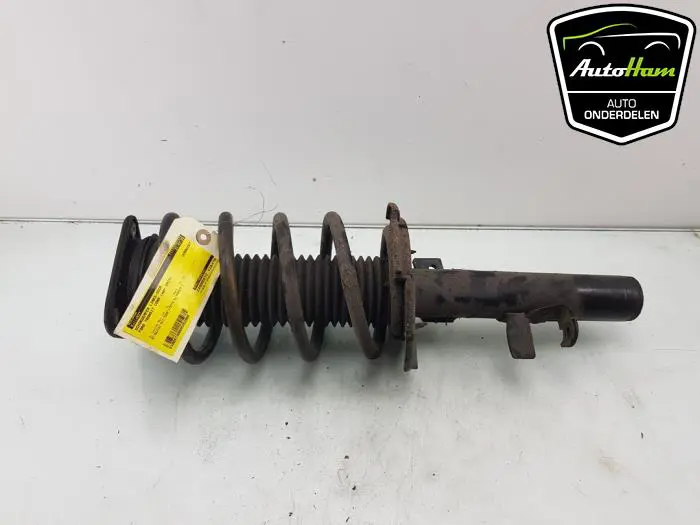 Schokdemper links-voor Ford Transit Connect
