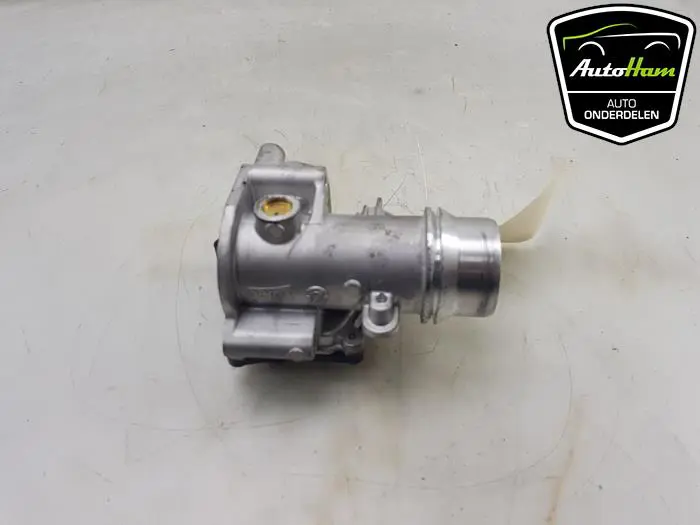 EGR Klep Renault Express