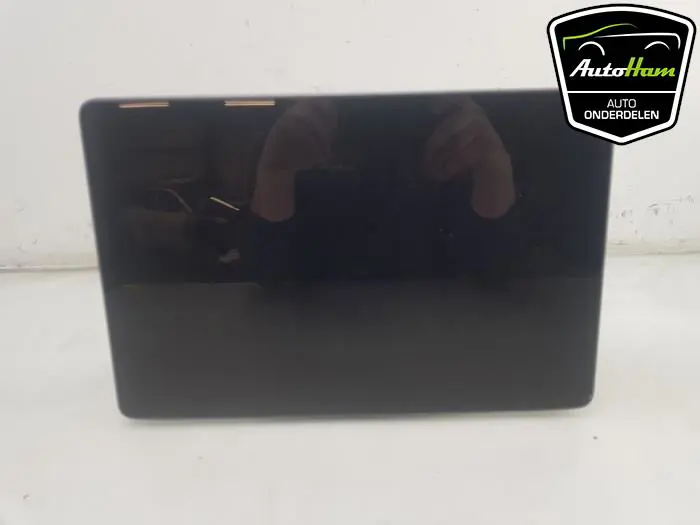 Display Multi Media regelunit Tesla Model 3
