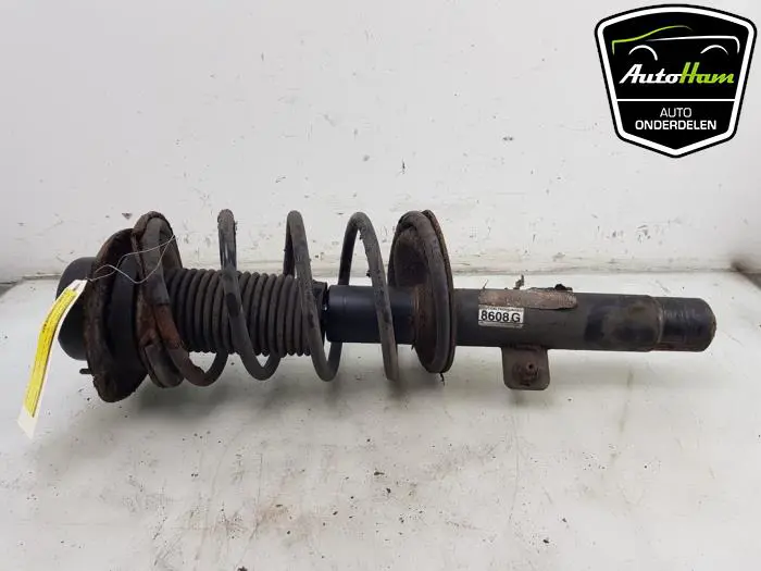 Schokdemper rechts-voor Peugeot 206