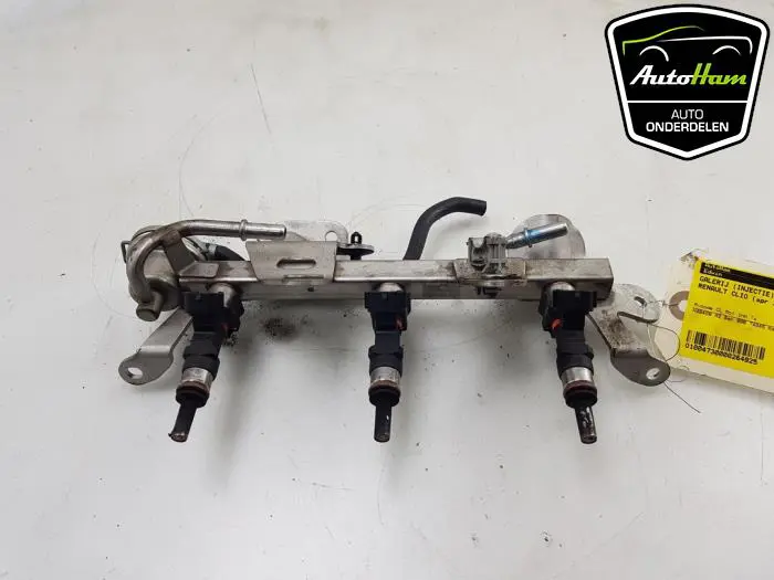 Galerij (Injectie) Renault Clio