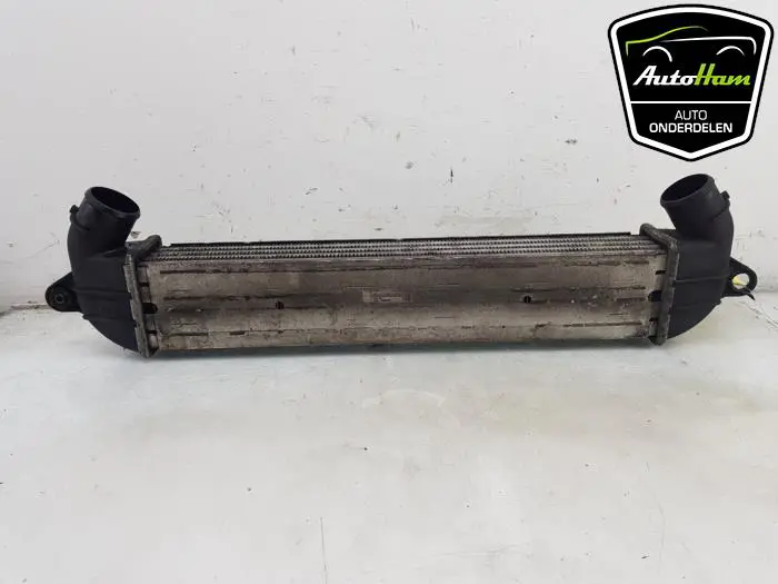Intercooler Fiat Doblo