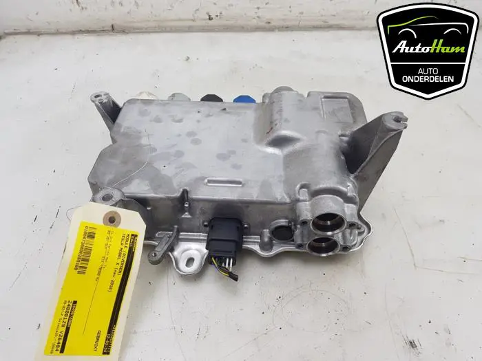 Module (diversen) Tesla Model X