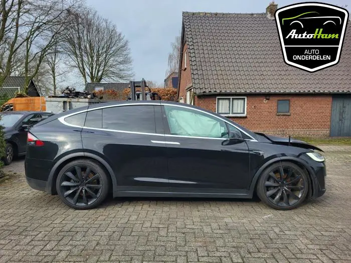 Portier 4Deurs rechts-achter Tesla Model X