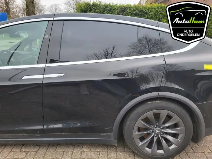 Portier 4Deurs links-achter Tesla Model X