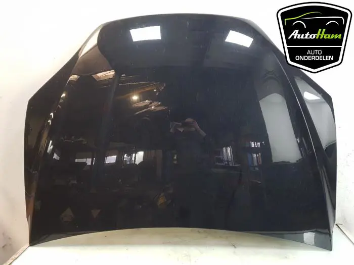 Motorkap Tesla Model X