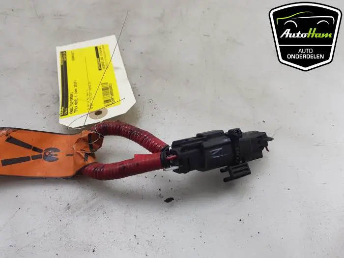 Kabel (diversen) Tesla Model X
