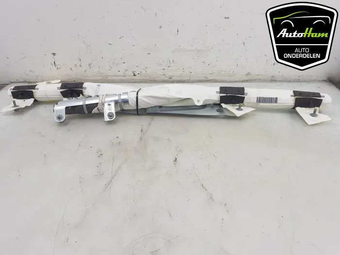 Airbag hemel links Tesla Model X