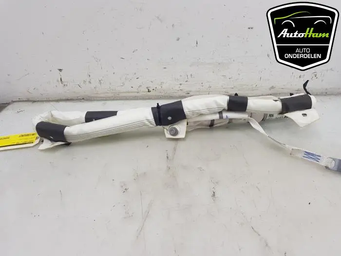 Airbag hemel links Tesla Model X