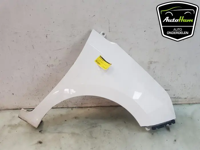 Scherm rechts-voor Hyundai I10
