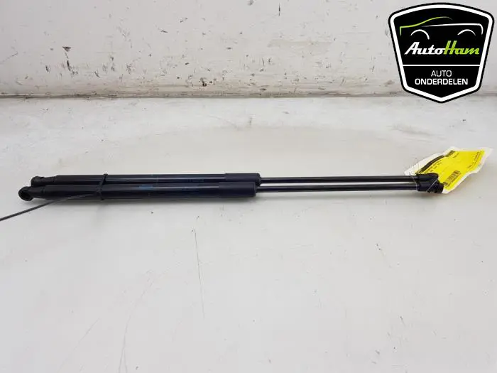 Set Gasdempers Achterklep Peugeot 108
