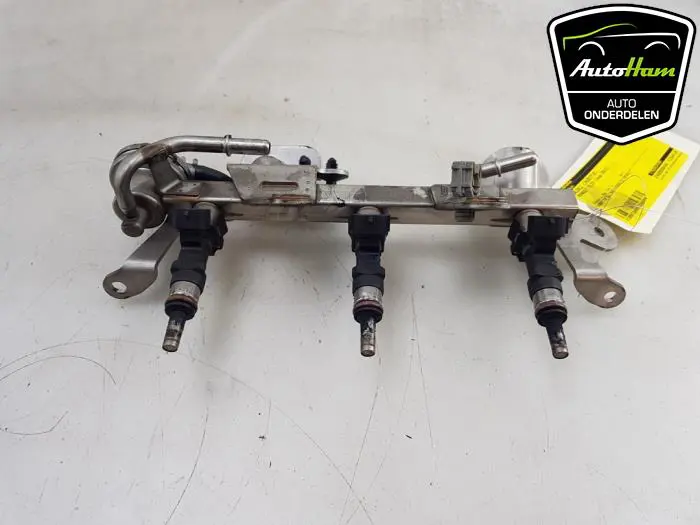 Galerij (Injectie) Renault Clio
