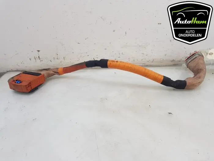 HV kabel (hoog voltage) Renault Clio