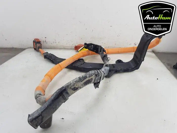 HV kabel (hoog voltage) Renault Clio