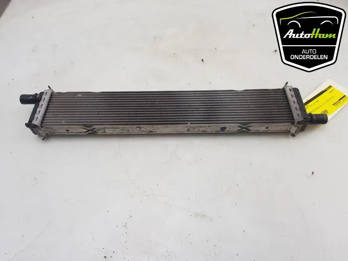 Radiateur Renault Clio