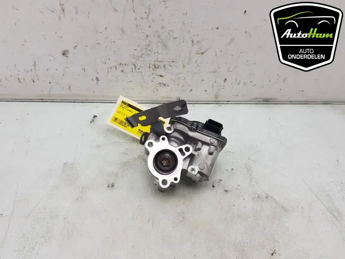 EGR Klep Renault Express