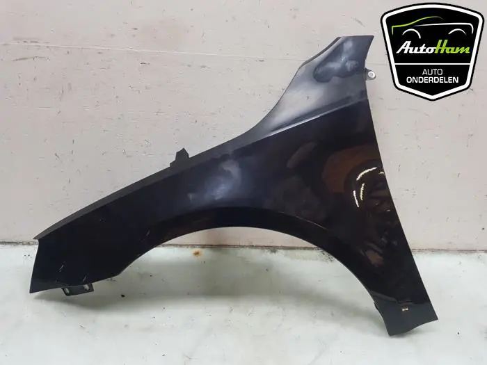 Scherm links-voor Skoda Octavia