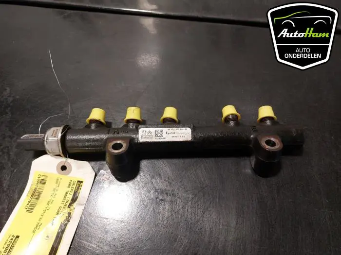 Galerij (Injectie) Ford Transit Connect