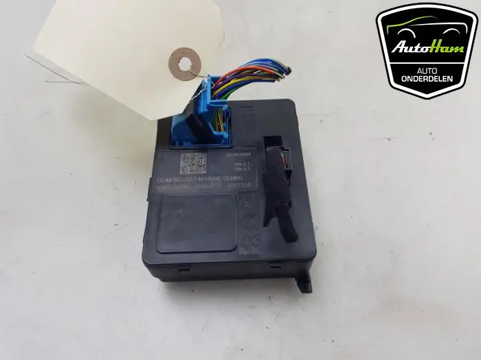 Computer Kachel Peugeot 208
