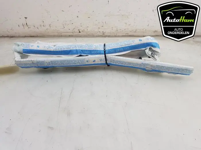 Airbag hemel links Seat Leon