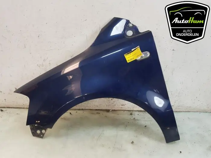 Scherm links-voor Volkswagen Fox