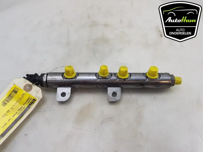 Galerij (Injectie) Landrover Range Rover Sport