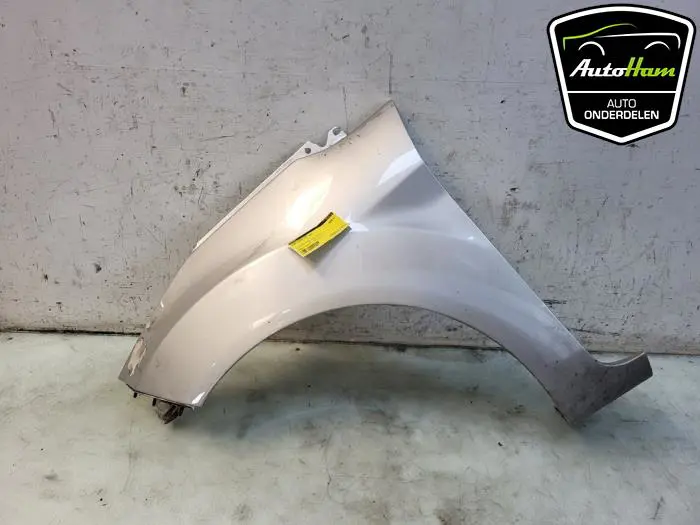 Scherm links-voor Ford Fiesta