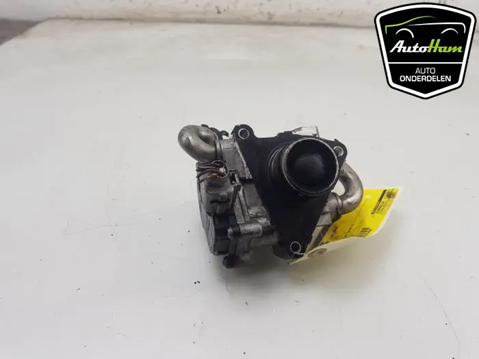 EGR Klep Volkswagen Tiguan