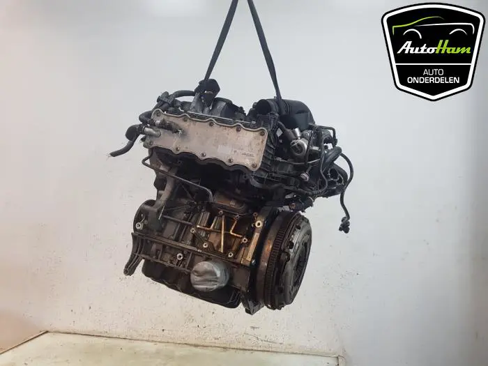 Motor Volkswagen Tiguan
