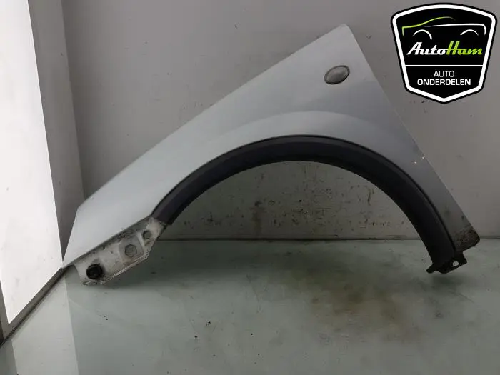 Scherm links-voor Opel Combo