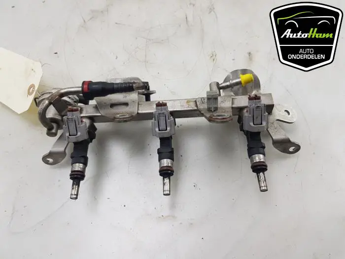 Galerij (Injectie) Renault Clio
