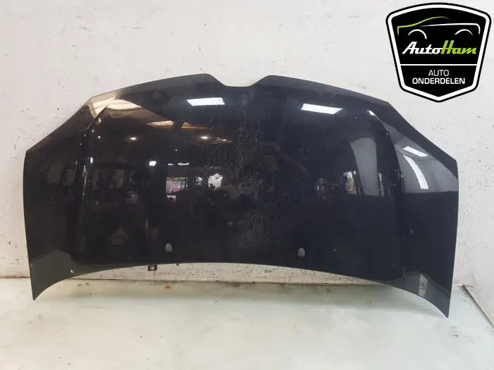 Scherm links-voor Renault Twingo