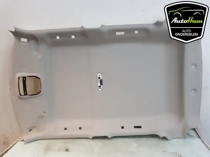 Hemelbekleding Mini Mini
