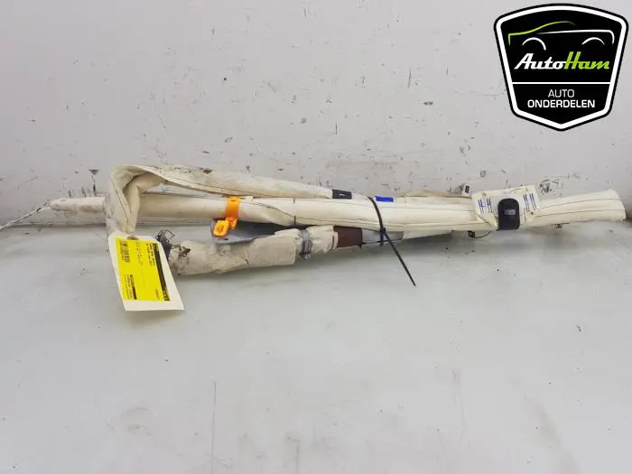 Airbag hemel rechts Volkswagen Tiguan