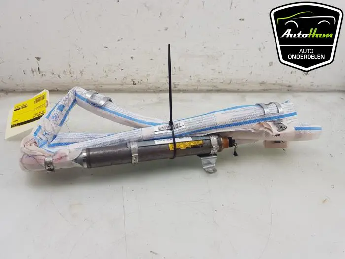 Airbag hemel links Mini Mini